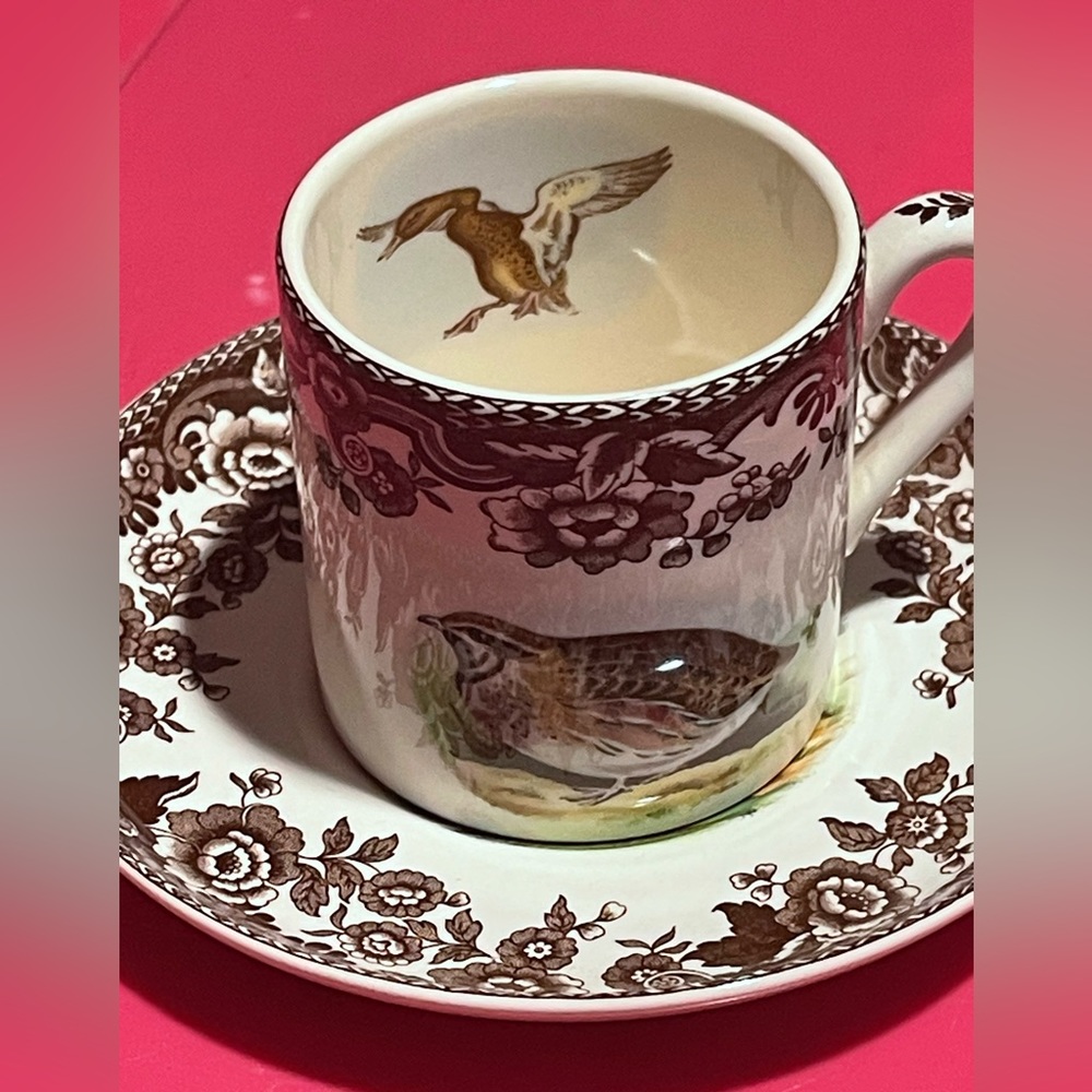 Classic Brown Floral & Bird Porcelain Teacup and Saucer